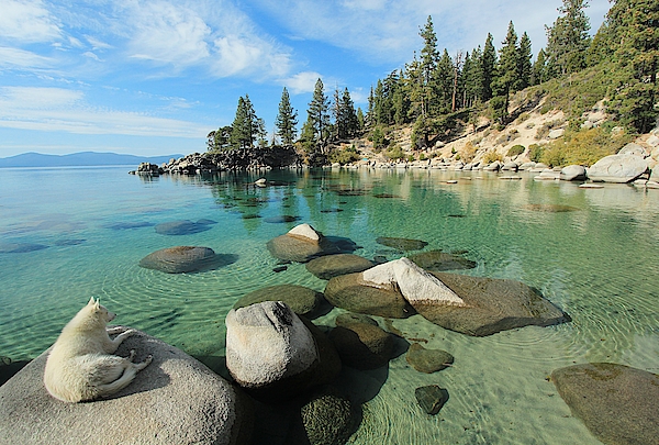 Sekani Autumn Secret Cove by Sean Sarsfield Sekani Autumn Secret Cove by Sean Sarsfield